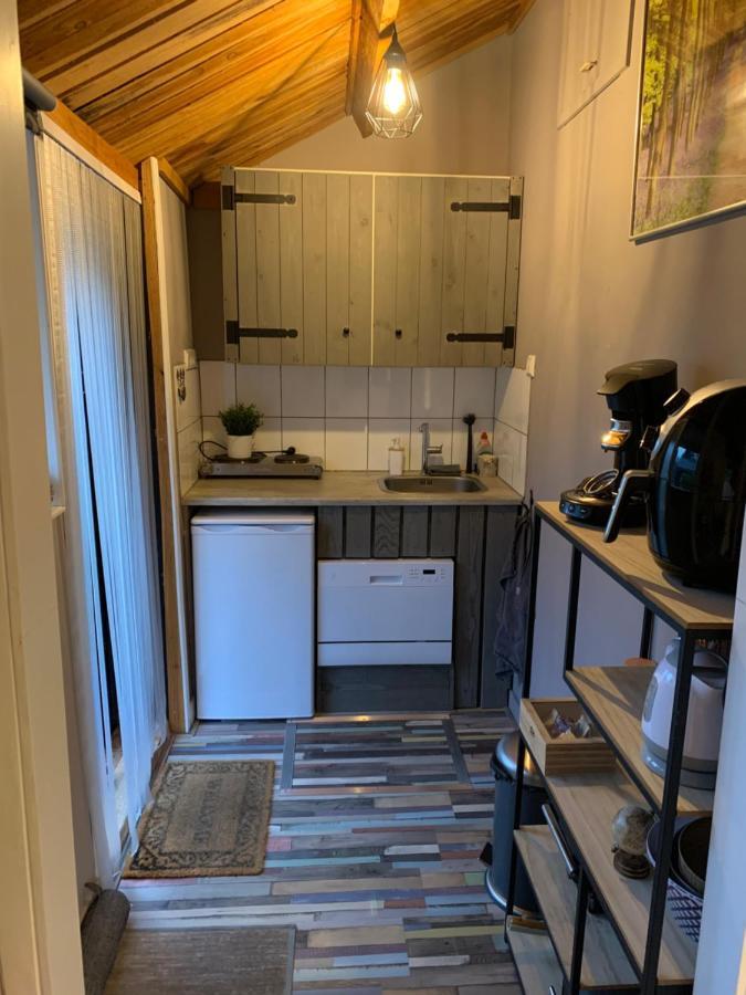 Veluwse Bos En Heide Studio 欧特罗 外观 照片